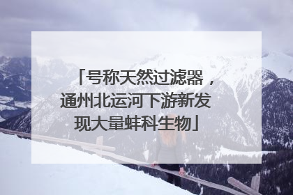 号称天然过滤器，通州北运河下游新发现大量蚌科生物